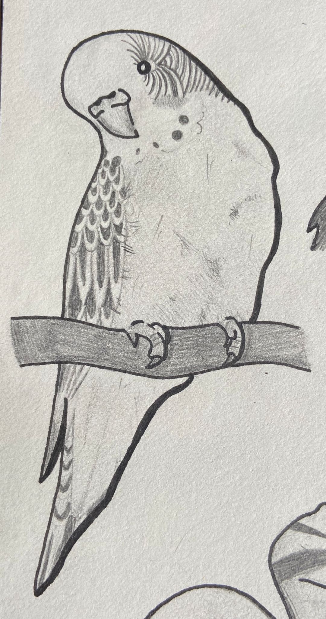 An error has occured.