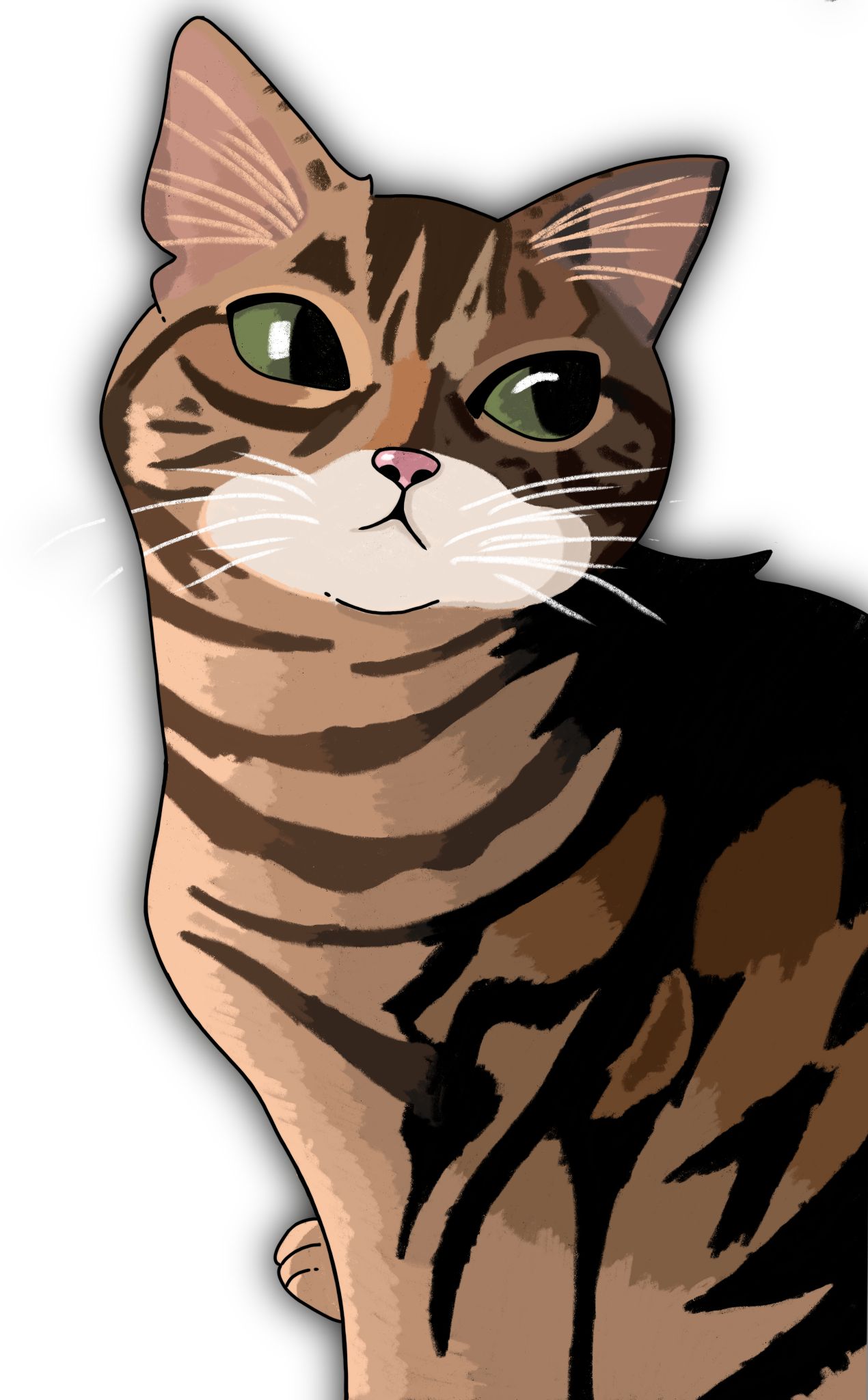 An error has occured.