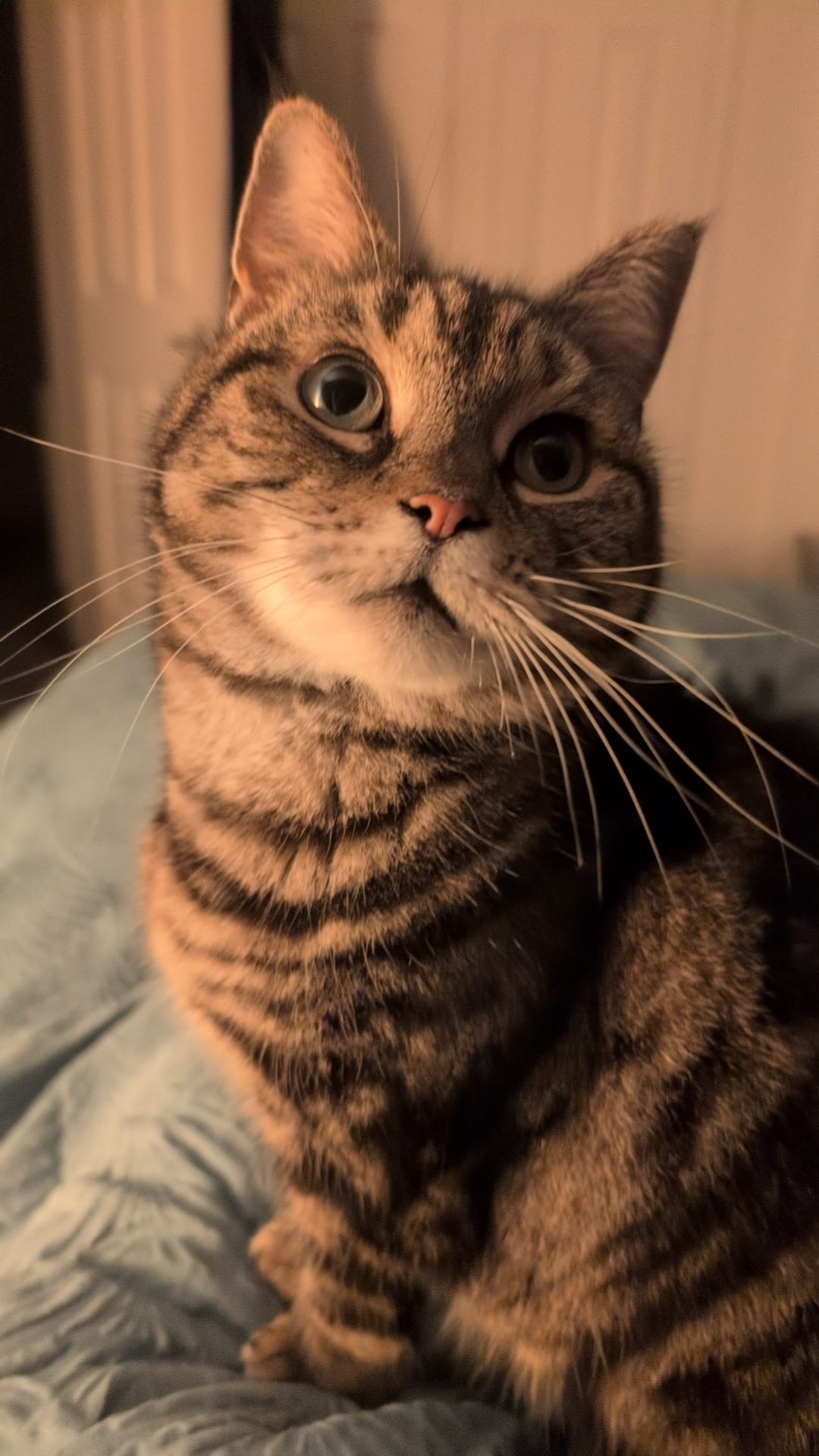 An error has occured.