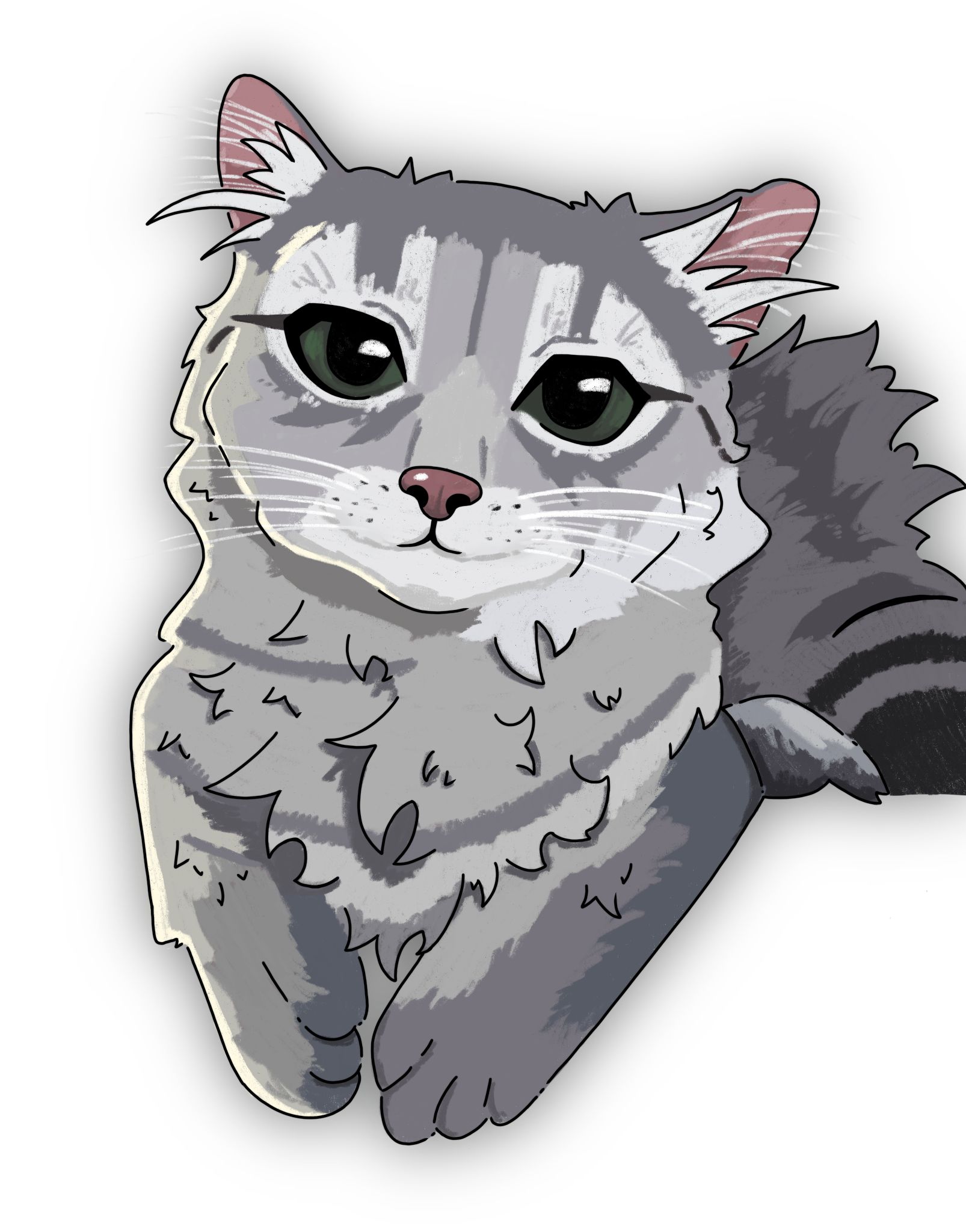 An error has occured.