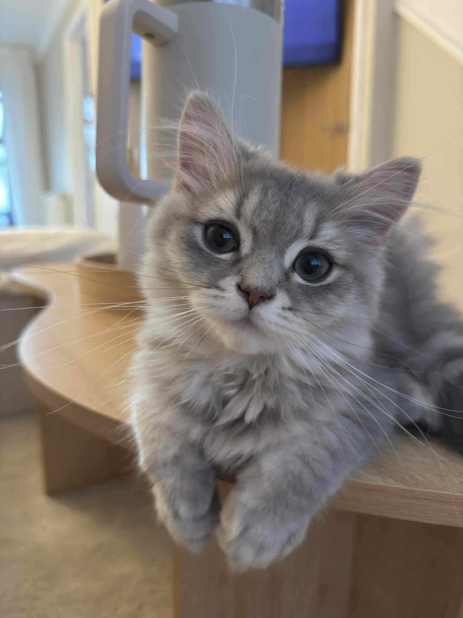 An error has occured.