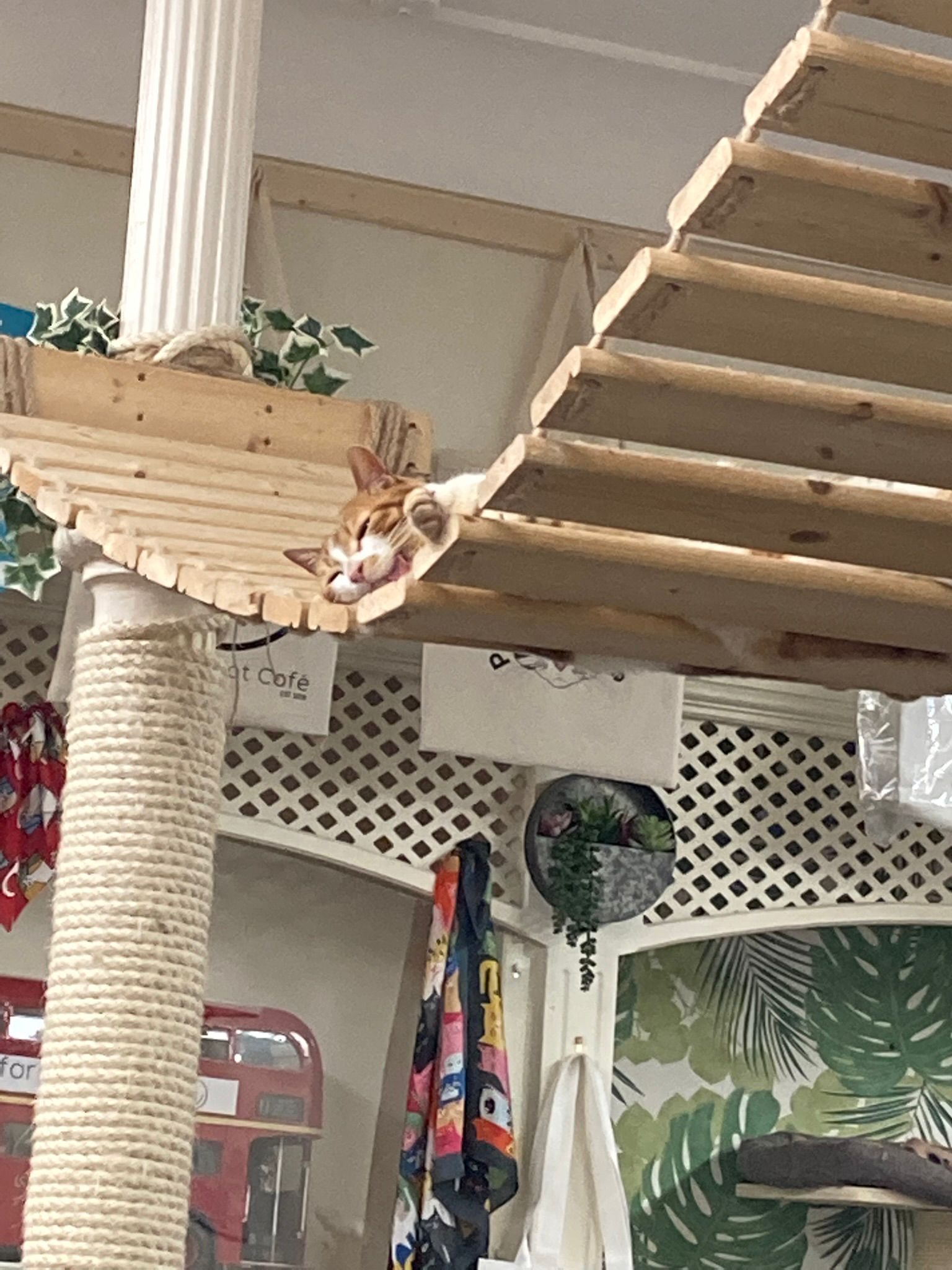 An error has occured.