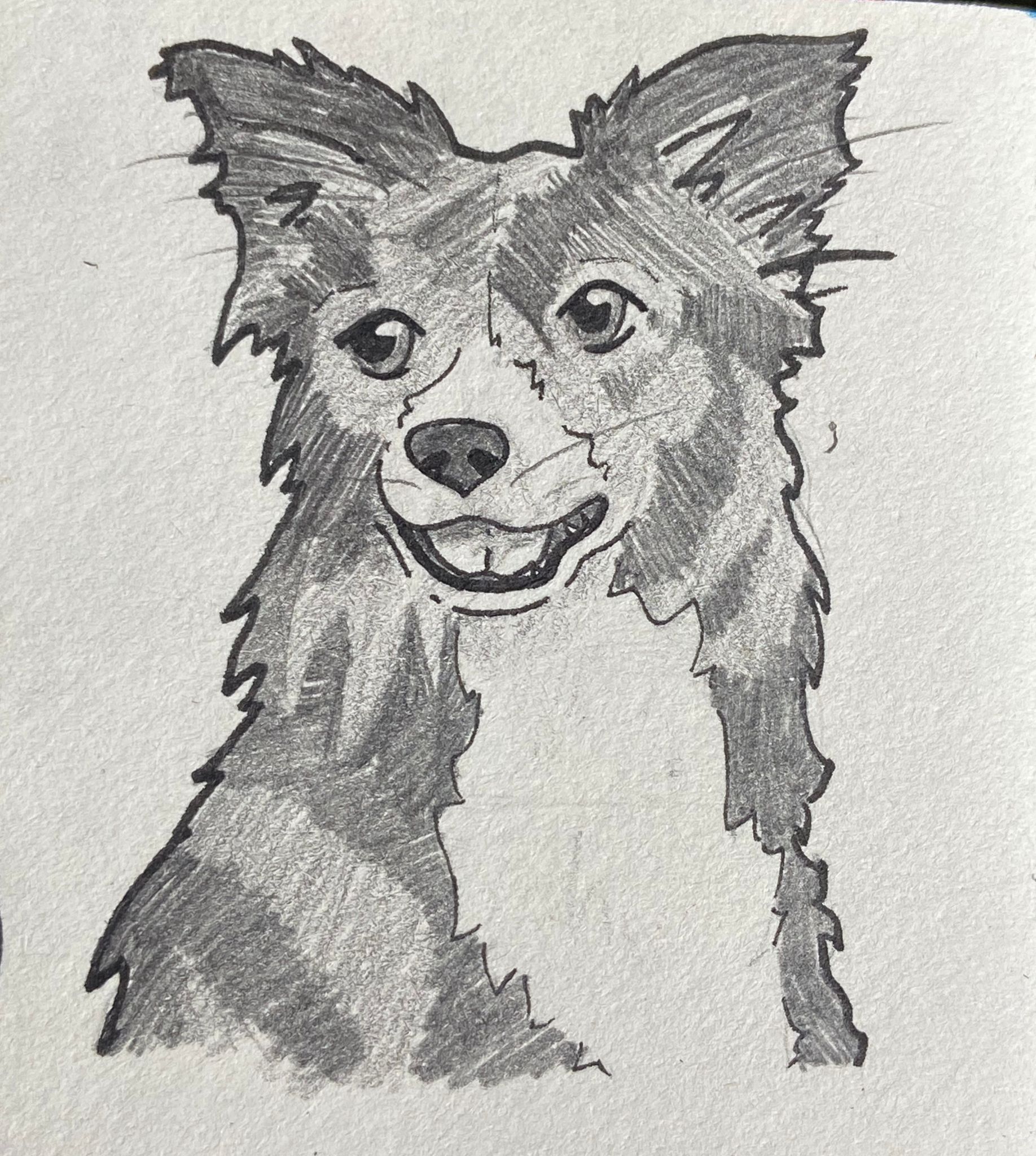 An error has occured.