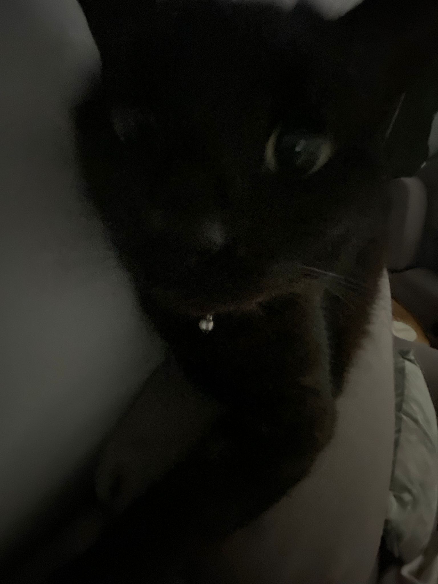 An error has occured.